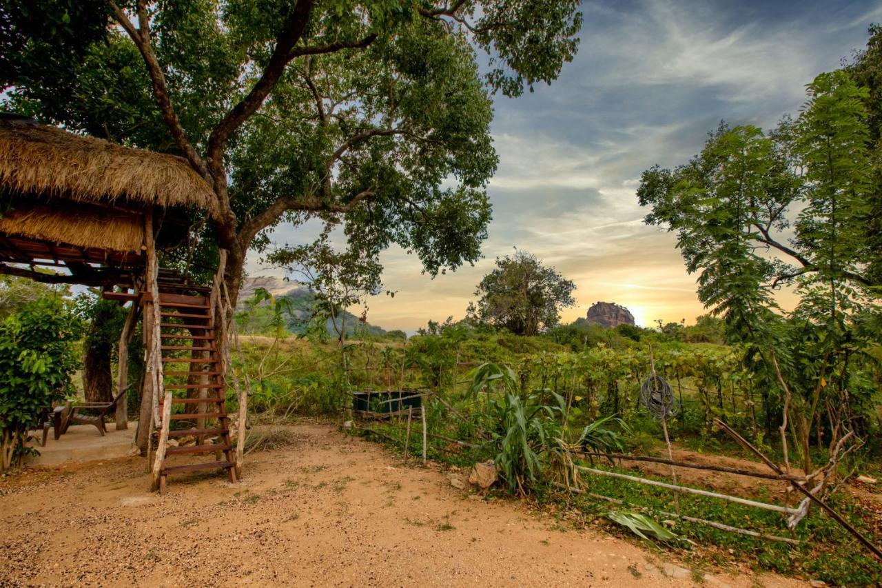 Sigiriya King'S Resort Bagian luar foto