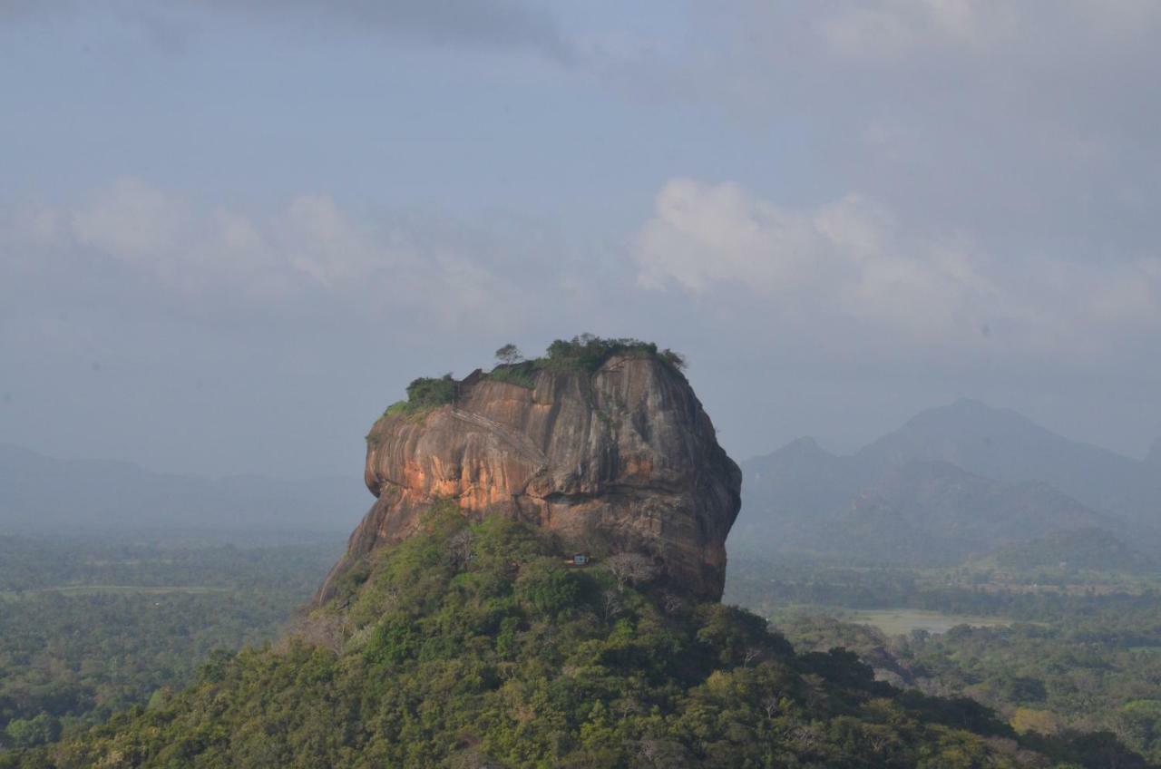 Sigiriya King'S Resort Bagian luar foto