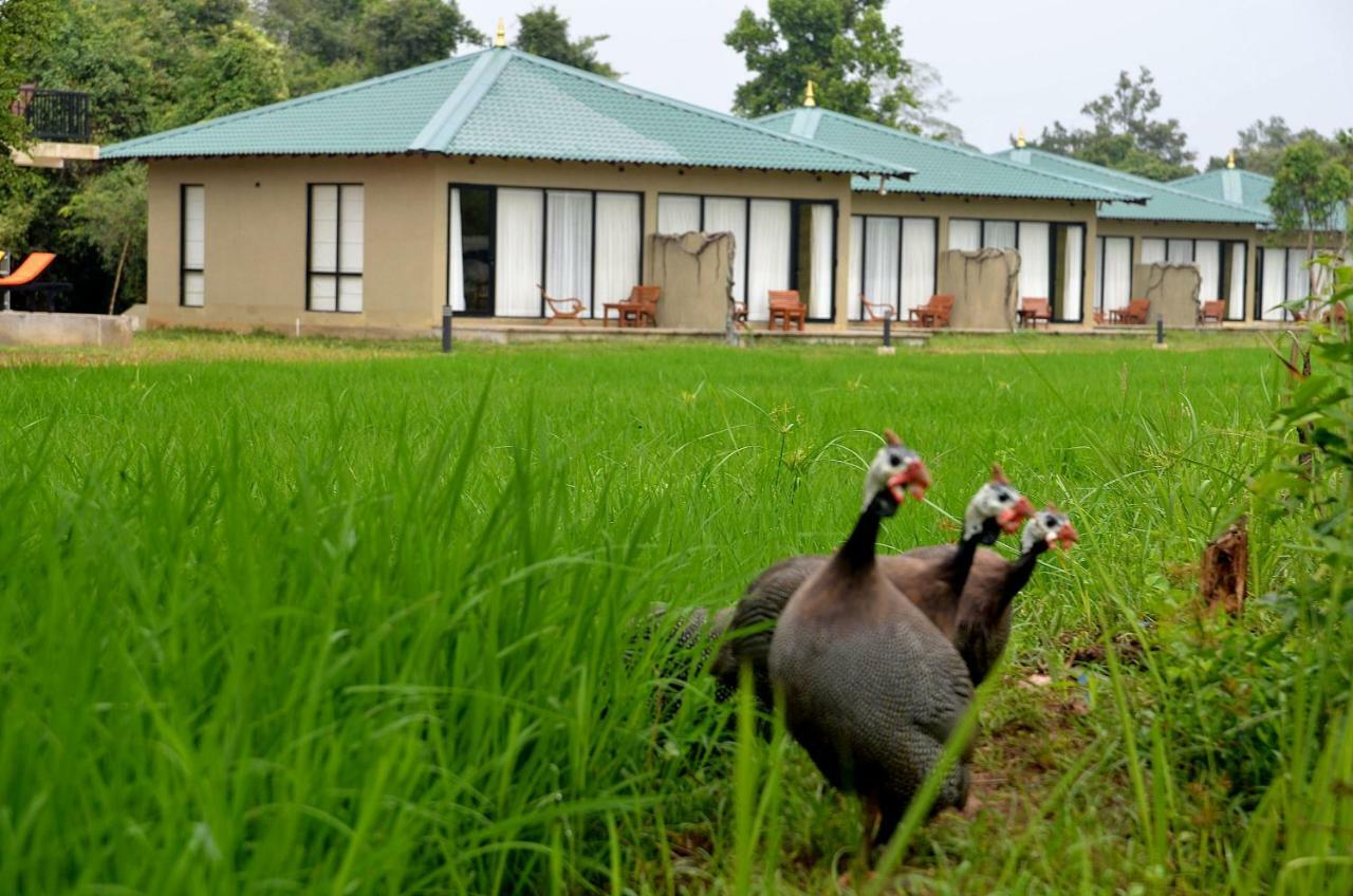 Sigiriya King'S Resort Bagian luar foto