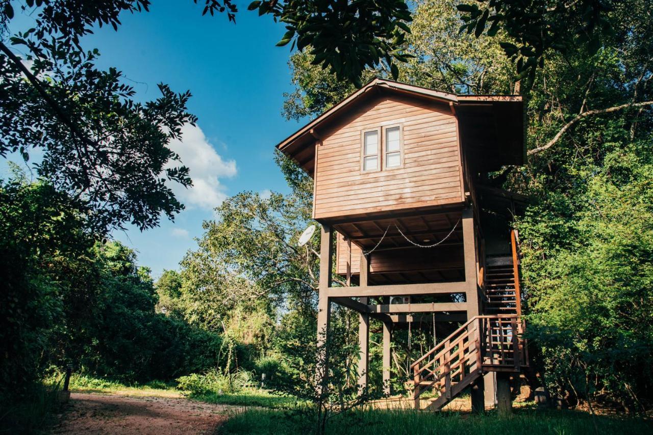 Sigiriya King'S Resort Bagian luar foto