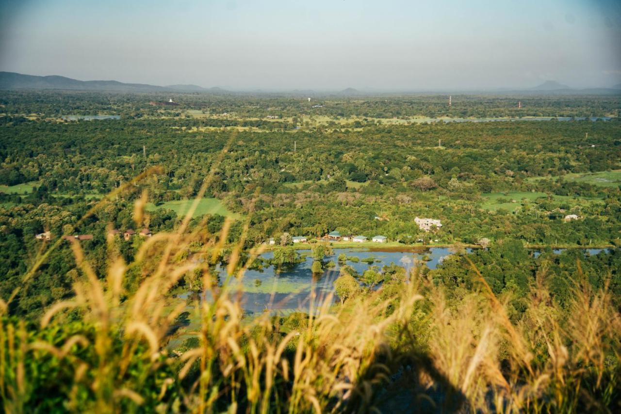 Sigiriya King'S Resort Bagian luar foto
